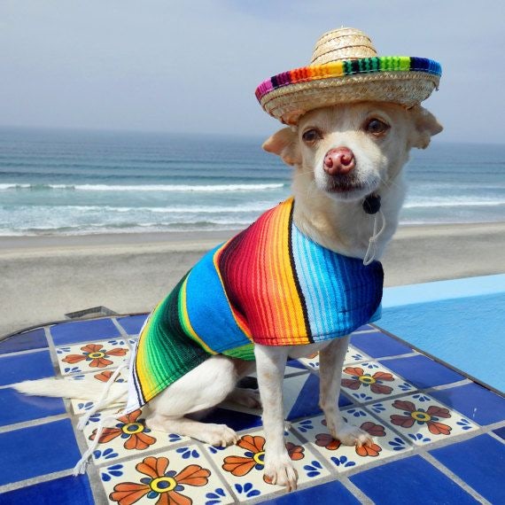 멕시코 전통의상 : 남미의 대표적인 의상, 판초(Poncho) : 네이버 블로그