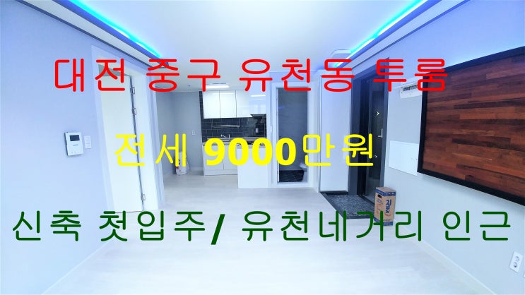  유천동신축투룸/유천동투룸/대전유천동투룸/대전유천동신축투룸/중구유천동투룸/중구유천동신축투룸