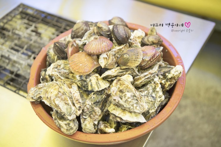  천북굴 굴구이로 유명한 보령 맛집 가보세!