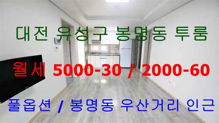 봉명동풀옵션투룸/봉명동우산거리풀옵션투룸/봉명동투룸/우산거리투룸