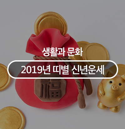 재미로 살펴보는 2019년 띠별 신년운세