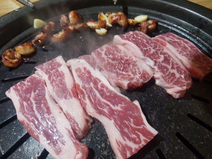 도남동막창맛집 제주시청근처 제주도민맛집 도남막창구이 후기