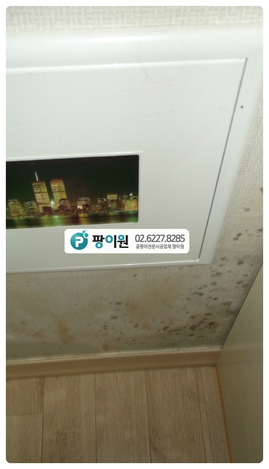 단순 벽지곰팡이제거 전 원인 필수!