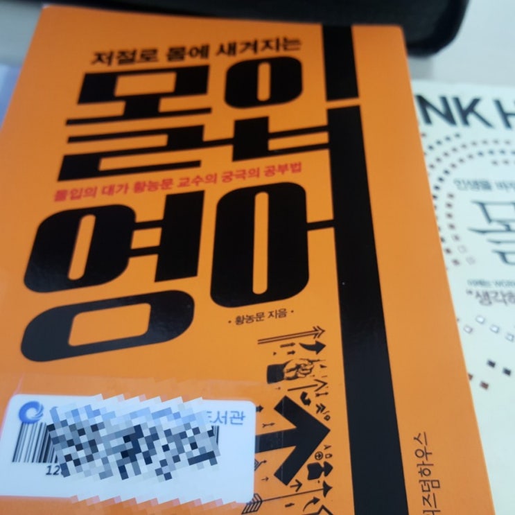  저절로 몸에 새겨지는 몰입영어