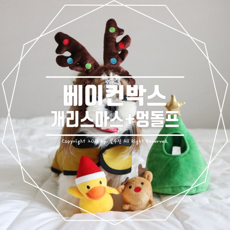  강아지 베이컨박스 12월 정기배송, 춘향블루베리 개리스마스!