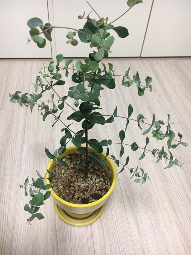  이상한 사람