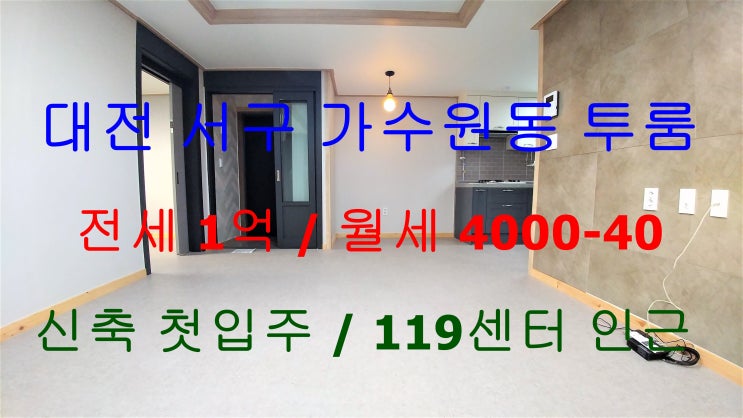  가수원동투룸/가수원동신축투룸/서구가수원동투룸/서구가수원동신축투룸/대전서구투룸/대전서구신축투룸