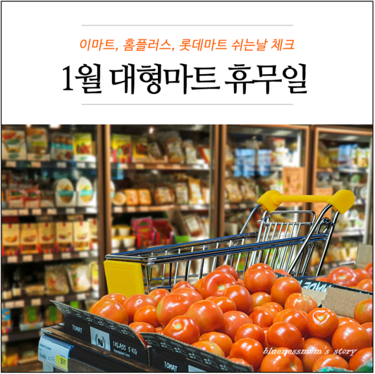  1월 대형마트 휴무일 - 이마트 홈플러스 롯데마트 쉬는날 체크