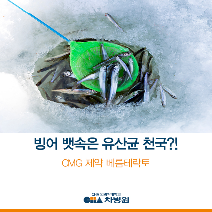  빙어 뱃속은 유산균 천국?! 겨울철 면역력 책임지는 유산균 - CMG 제약 베름테락토