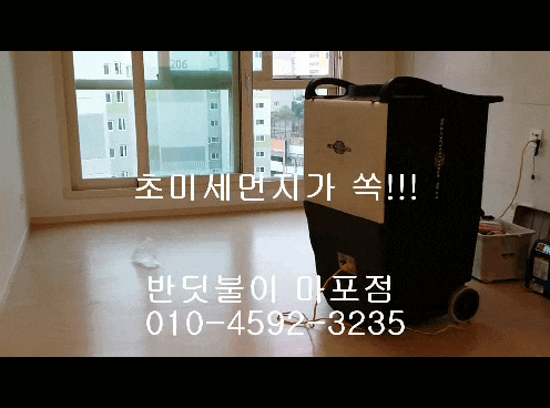  새집증후군제거방법 반딧불이에서 해결!