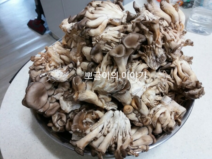  느타리버섯보관법