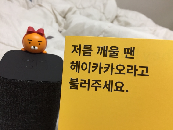  헤이 카카오 미니c 사용후기