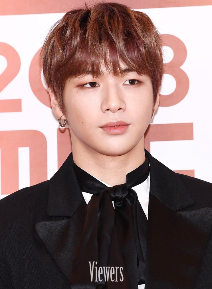  [워너원 강다니엘] 181229 MBC연예대상 레드카펫 기사사진 & 프리뷰