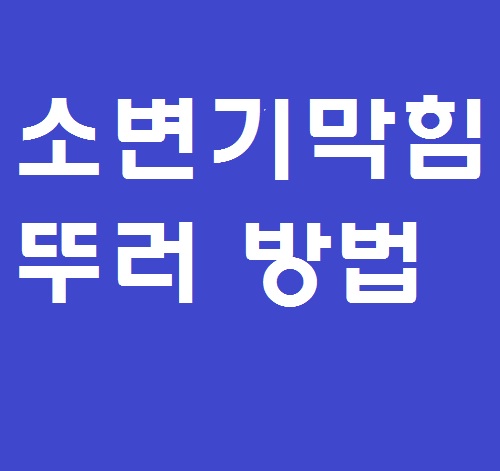  소변기 막힘 요석제거로 뚫은 성공 사례