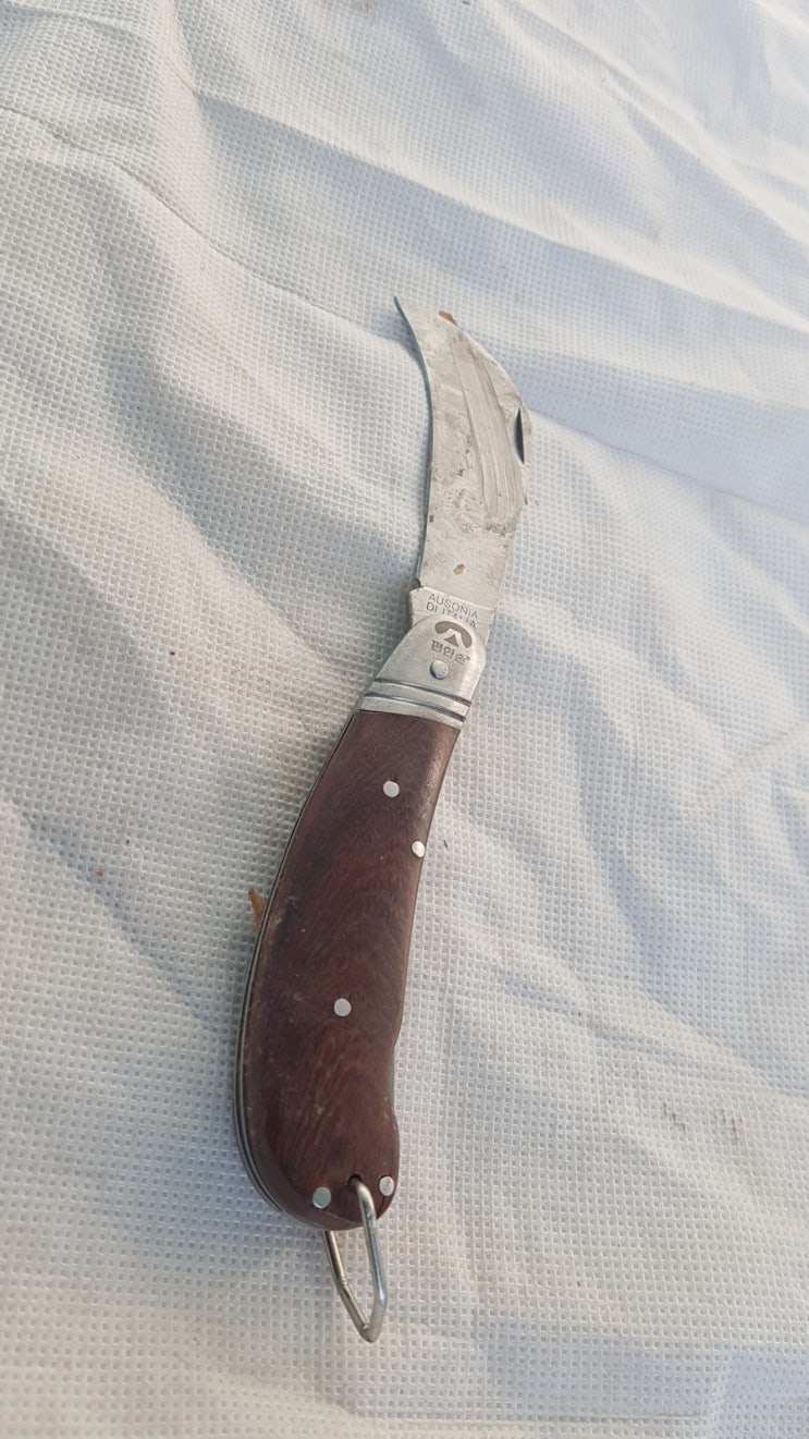  송근봉 껍질 벗기기