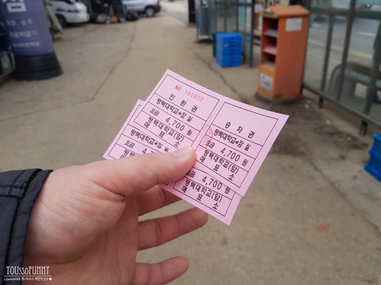  평택 대학교에서 버스타고 잠실 롯데월드 가기