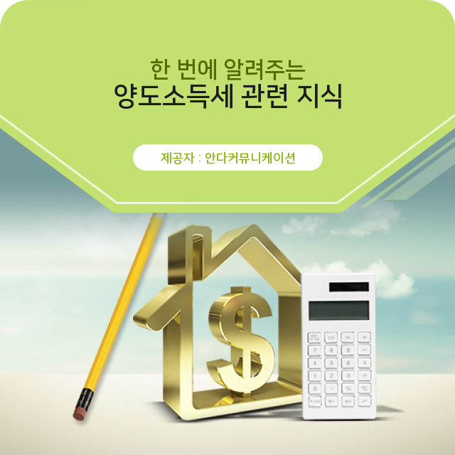  부동산 양도소득세 한번에 알려주는 이슈