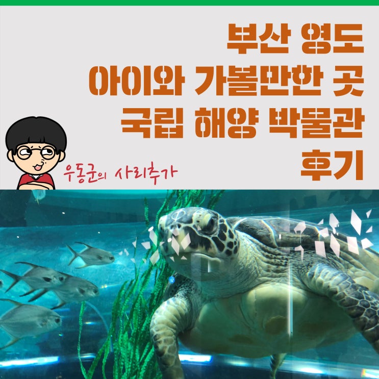 부산 영도 아이와 가볼만한 곳!'국립 해양 박물관' 후기
