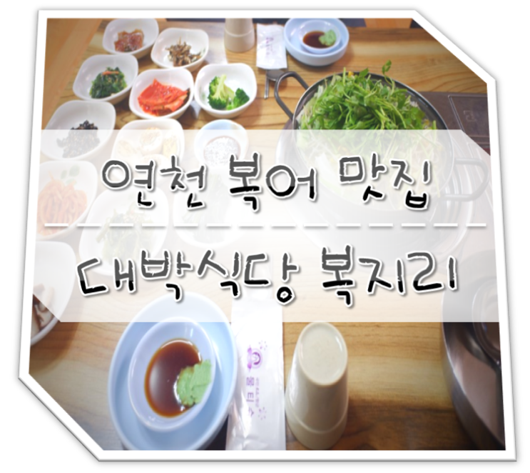  연천 맛집 대박식당 복어요리 복지리