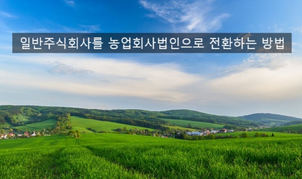  일반 주식회사를 농업회사법인 주식회사로 변경하는 방법
