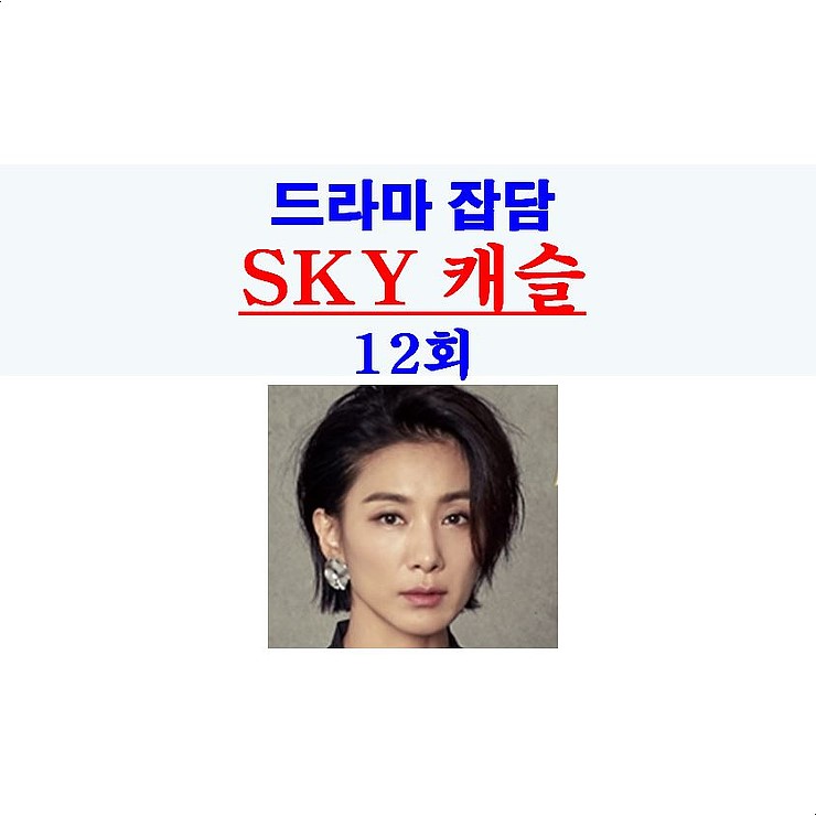 SKY 캐슬(스카이캐슬) 12회::김주영=남편 살해 용의자, 차세리=하바드생 사기=벌금 6만 2천 달러