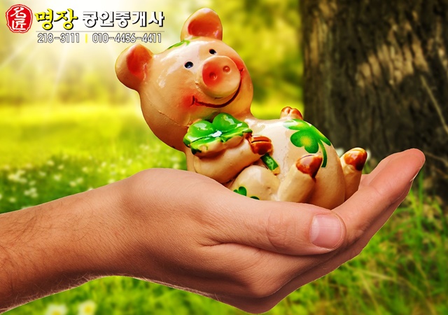  2019년 기해년 황금돼지띠