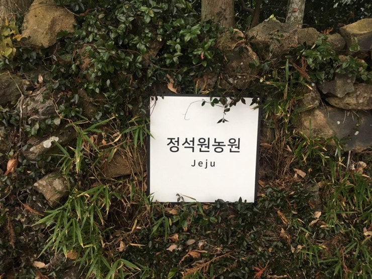 제주감귤농장 정석원농원 새간판 달았어요