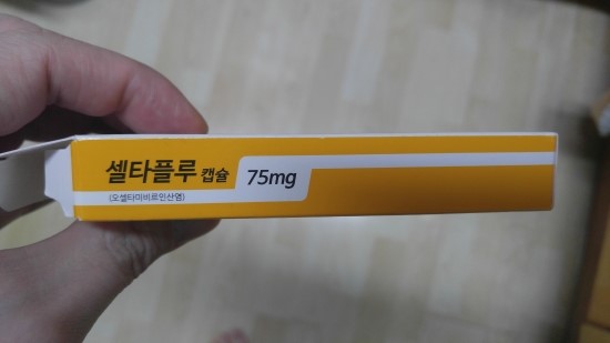  타미플루 셀타플루..? 독감약 효능...