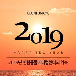 2019년 센텀동물메디컬센터의 약속 (부산 해운대 동물병원, 분과전문진료 동물병원)