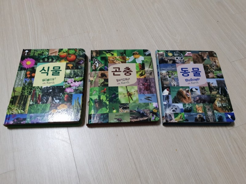 블로그 후기 사진