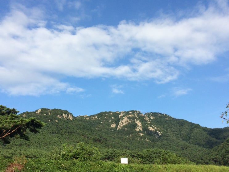  화순 백아산(810m) 1 , 원리마을에서 하늘다리를 지나