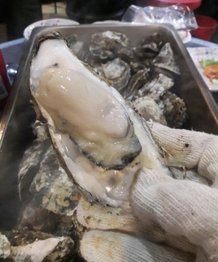 순천 조례동 굴찜 굴구이 조개구이 맛집 조개까는삼촌