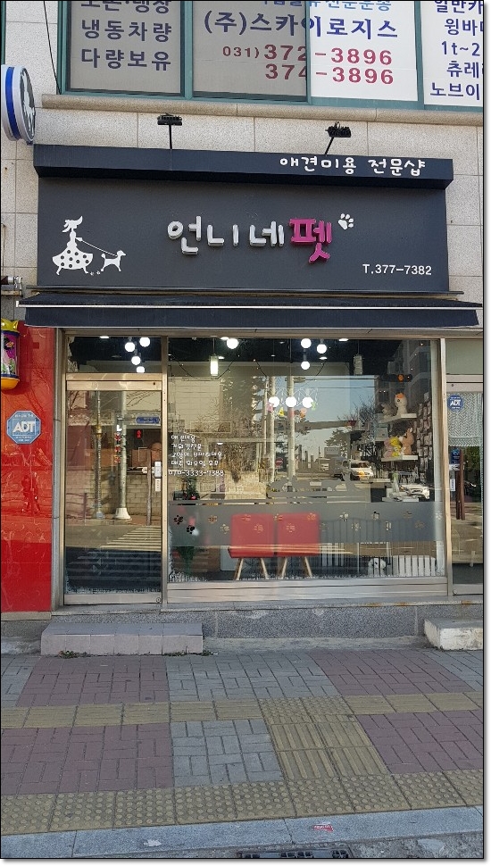  오산애견미용 미용 전후 비교-언니네펫