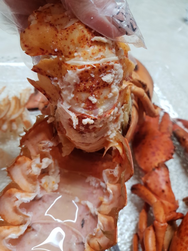  캐나다 랍스터 K홈쇼핑..