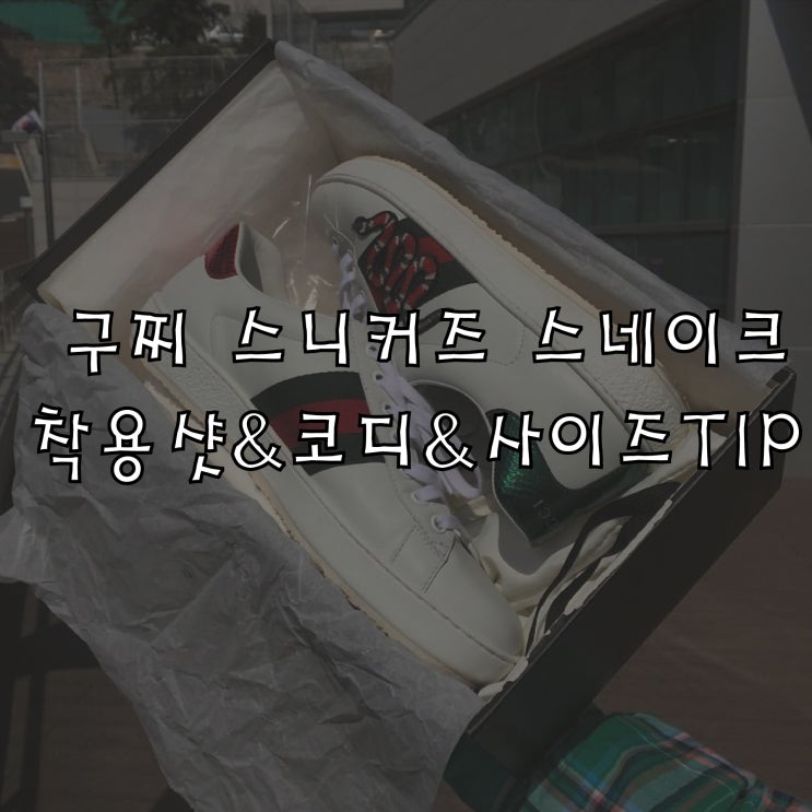  구찌 스네이크 스니커즈 코디/사이즈TIP/착용샷