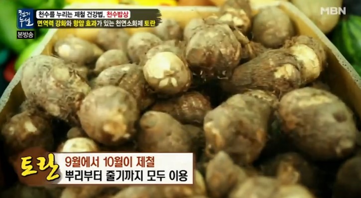 소화,면역력강화,암세포억제에좋은 토란의 효능과 들깨토란탕 만드는 법 소화,면역력강화,암세포억제에좋은 토란의 효능과 들깨토란탕 만드는 법