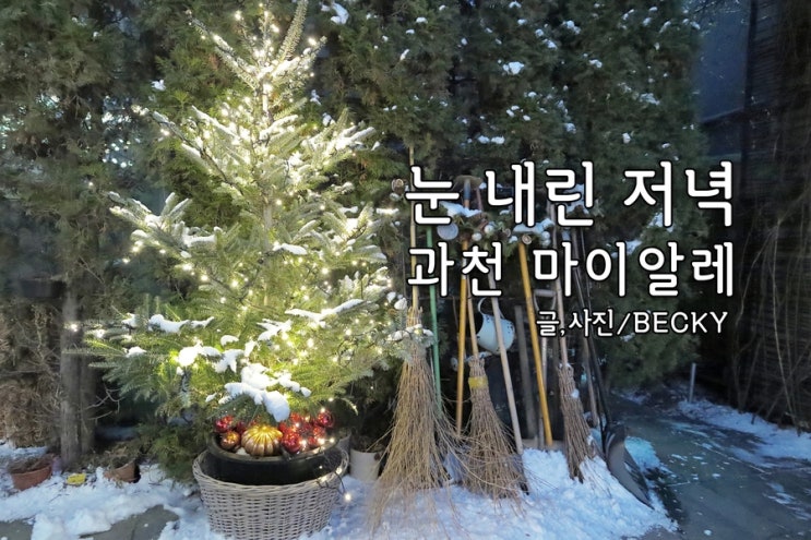  눈 내린 겨울 저녁 두 번째 방문한 과천 온실 카페 마이알레