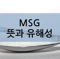  msg 뜻과 유해성