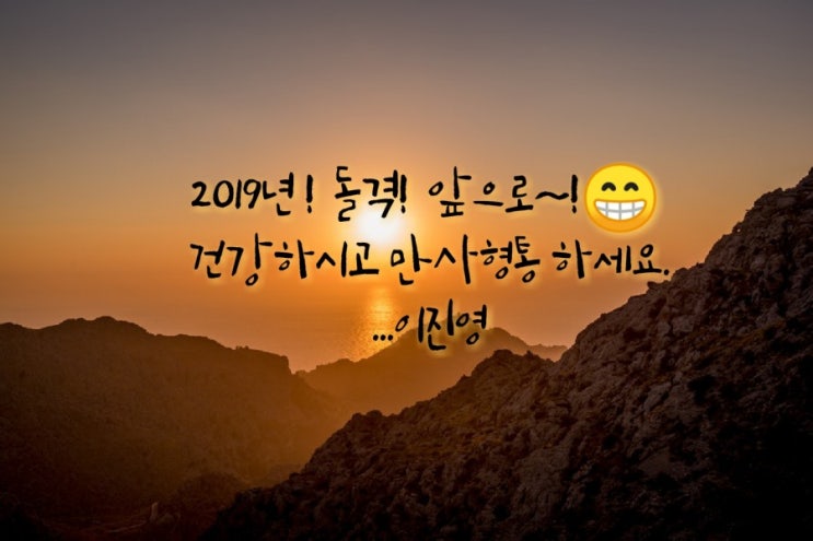  2019년 돌격!  앞으로!  새해 복 많이 받으세요.^^