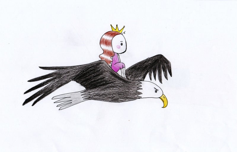 CCTV설치공지사항/CCTV공지사항(개인정보보호 종합포털) 9