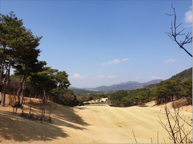  내일은 이른아침 켈러그