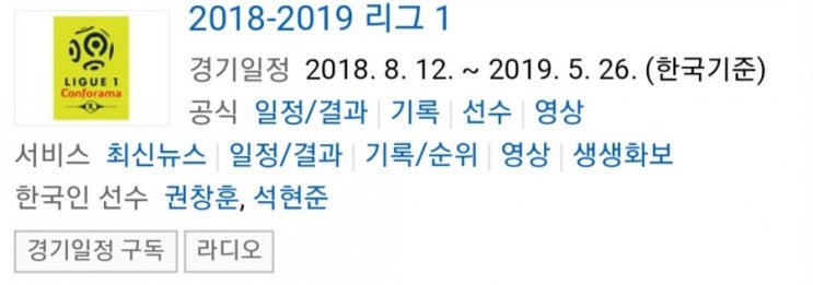 2019.04.01 리그앙(프랑스리그1) (생테티엔 님올랭피크) 2019.04.01 리그앙(프랑스리그1) (생테티엔 님올랭피크)