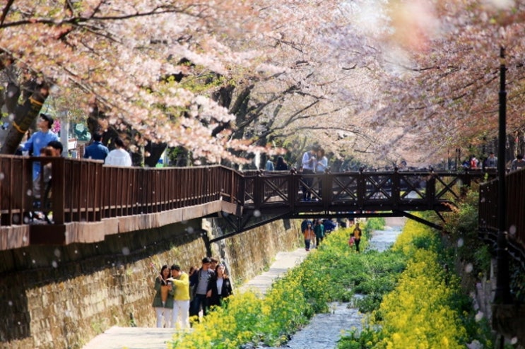  2019년 4월 전국 꽃 축제 총정리