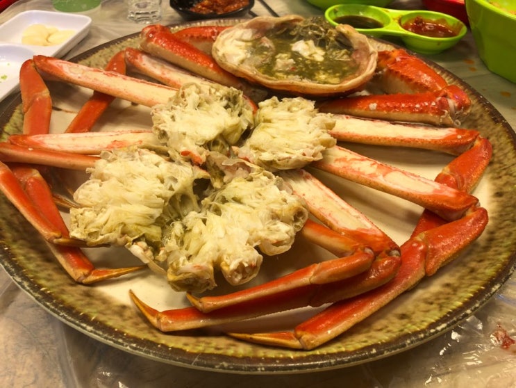  [속초 관광] 대포항 팔팔회센타 대게, 회세트 후기 (홍게도 있어요, 대게 좋아요)