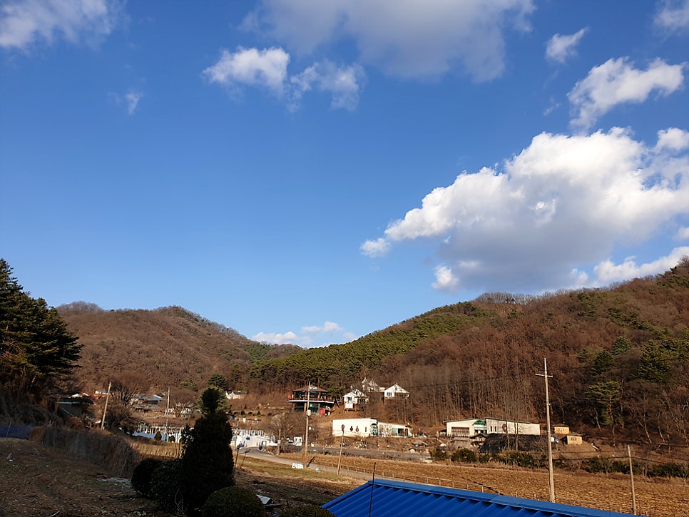 초리골황토펜션 사진 2