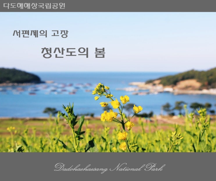  [다도해해상국립공원] 청산도에 봄이 찾아왔어요 !!!  서편제의 고장  청산도 봄마중