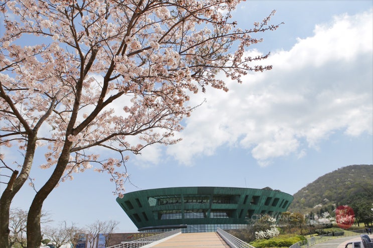  제주 4.3 사건 71주년 희생자 추념일