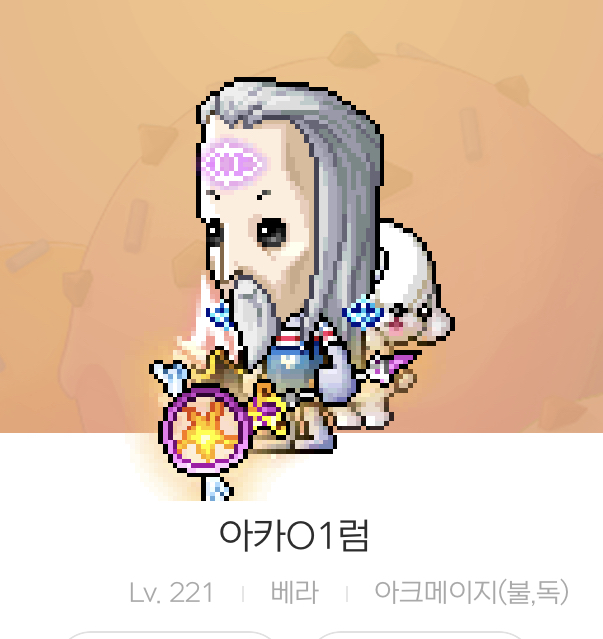  메이플 아케인 직작 프로젝트 1차, 베라서버 길원구함