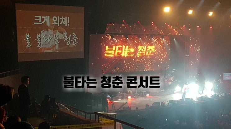  [불타는청춘 서울 콘서트] 최고의 가수들 출현!안봤으면 어쩔뻔?