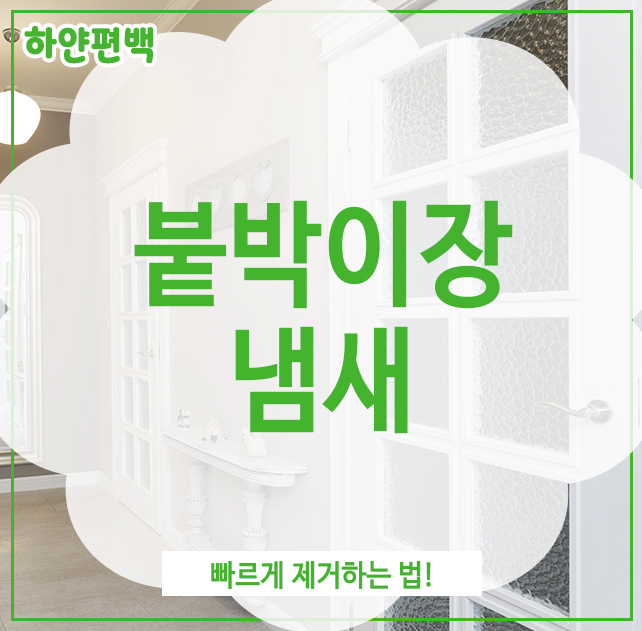  붙박이장 냄새, 빠르게 제거하는 법!